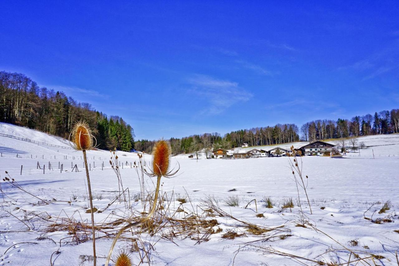 Ferienwohnungen Wanderparadies Bauernhof Aschau im Chiemgau Buitenkant foto